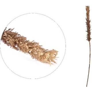 Kvist Decor fra Villa Collection - Natur farve - Polypropylene