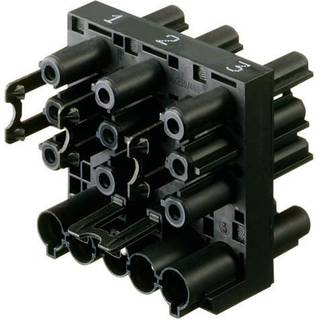 Wieland Fordelerblok 5/3-pol 5p sort