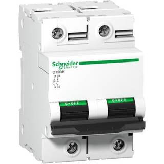 Schneider  Automatsikring C120h 2P 80A D
