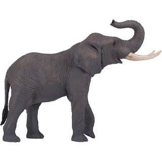 Mojo Afrikansk tyr elefant