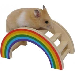 Rainbow bro