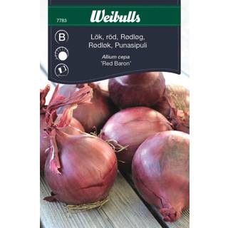 Løg (Rødløg allium cepa 'Red Baron')