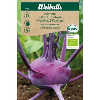 Kålrabi frø (Brassica oleracea 'Delikatess blauer') Økologisk