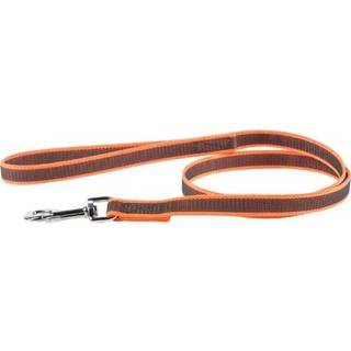 Julius-K9 C&G - Super-grip leash - orange-gray Width: 0.7 / 20mm Length: 6ft / 1