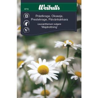 Blomsterfrø (Marguerit 'Majdrottning')