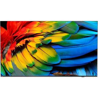 Philips 65HFL6214U Professional MediaSuite - 65" LED-backlit LCD TV - 4K - for healthcare / hotel