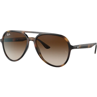 Ray - Ban Unisex RB4376 710/13 Solbriller Injiceret Skildpadde Brun Pilot Normal Skygge