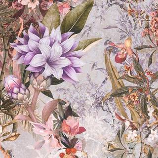 Albany Wallpaper Floral Tropicana 38177-3