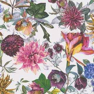 Albany Wallpaper Dreamy Floral 38175-4