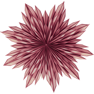SHAULA julestjerne ø 64 cm - Natur