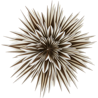 SPICA adventsstjerne ø 64 cm - Sort