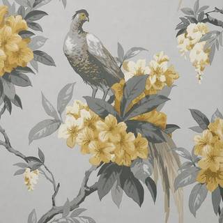 Crown Wallpaper Golden Pheasant M1662