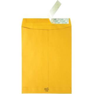 Kvalitet Park Redi-Strip Catalog konvolutter High Bulk 9 """" X 12 """" Brown Kraft Box med 250