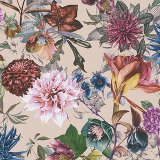 Albany Wallpaper Dreamy Floral 38175-5