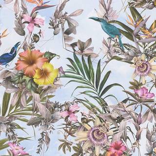 Albany Wallpaper Halcyon Days 38178-4