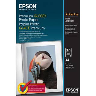 EPSON PREMIUM GLOSSY PHOTO PAPER +FREE A4 PREM SEMIGL PHOTOPAPER NS