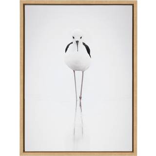Kate og Laurel Sylvie Seagull Framed Canvas Wall Art af Simon Te of Tai Prints 18x24 Natural Natural