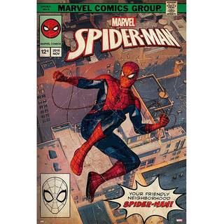 Grupo Erik Spiderman -plakat - 36 x 24 tommer / 91,5 x 61 cm - sendt rullet op - Cool plakater - Art Plakat