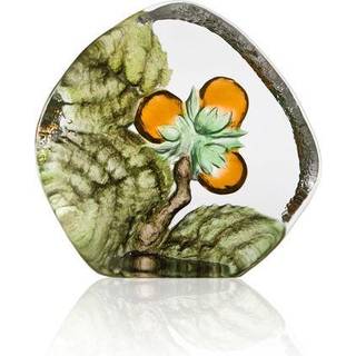 Hasselnød - Målerås