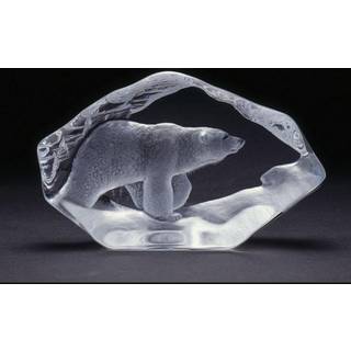 Isbjørn - Målerås