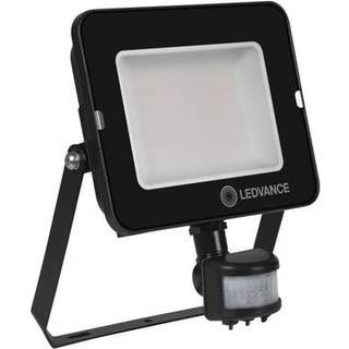 LEDVANCE Floodlight Compact Value Sensor 5000lm 50W 840 IP65