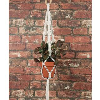 Solid Oak Macrame plnt Hngr Kt 4 Picots