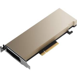 PNY NVIDIA A2 - 16GB GDDR6 RAM - Grafikkort