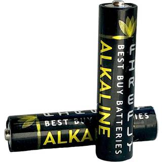 Philips Industrial Alkaline AAA (10-PAK)