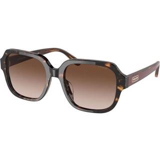 Coach HC8335U C7989 512013 53 Solbriller Kvinder Tortoiseshell - Tortoise - 53mm