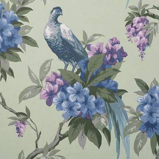 Crown Wallpaper Golden Pheasant M1660