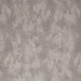 Skin - 300580