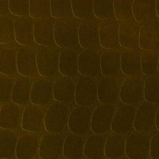 Skin - 300560