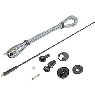 Antenne AM/FM universal passiv 41cm