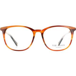 Ted Baker TB8219 Archer 351 52 Briller Mænd Tortoiseshell - Havana - 52mm