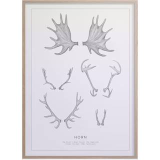 Kunskapstavlan® Horn Plakat 50x70 Cm - Plakater Papir Sort Hvid - 1969