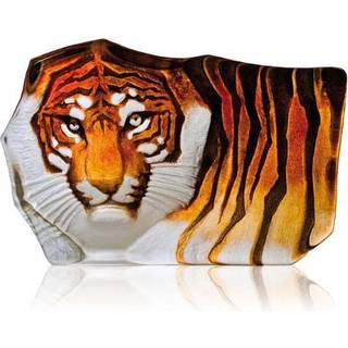 Tiger, lille - Målerås