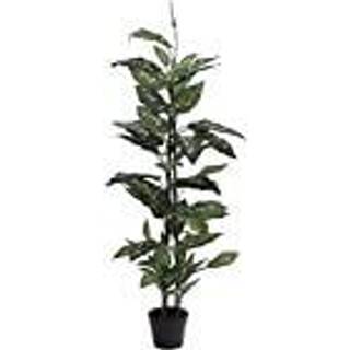 Europalms Dieffenbachia, artificial, 120cm TILBUD NU