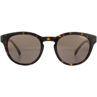 Carrera 252/S 086/70 50 Solbriller Mænd Tortoiseshell - Tortoise - 50mm