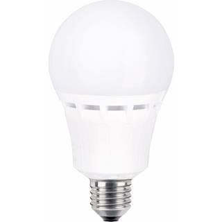 NASC Nasc LED Bygg Classic 15W 48V E27 865 7391316570152