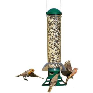 Perky-Pet 5141-2 Squirrel Slammer Wild Bird Feeder Green