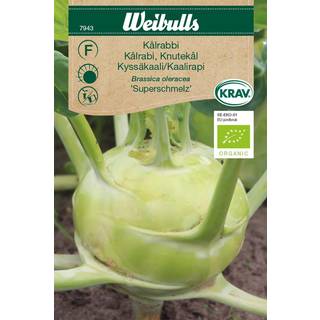 Kålrabi frø (Brassica oleracea 'Superschmelz') Økologisk