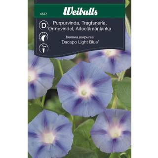 Blomsterfrø (Tragtsnerle 'Dacapo Light Blue')