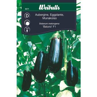 Auberginefrø (Aubergine 'Baluroi' F1)