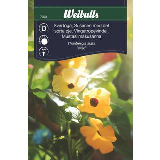 Blomsterfrø (Susanne med det sorte øje 'Mix')