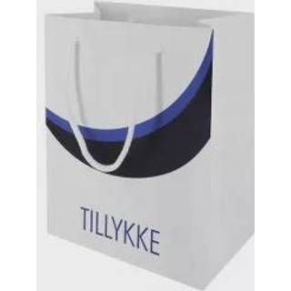 Gaveposer Student tillykke, blå 2 stk