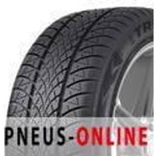 Triangle Winter X TW 401 XL 205/55R17 95V