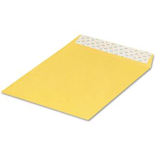 Kvalitetspark 10 x 13 katalogkonvolutter med lukning af selvforsegling 28 lb brun Kraft Fantastisk mulighed for at sende opbevaring og organisere