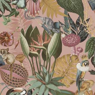 Albany Wallpaper Wonderland 13400