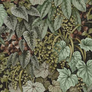 Albany Wallpaper Cascading Garden 91363
