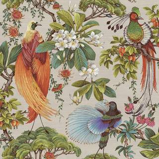 Albany Wallpaper Yasuni 91404